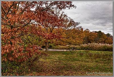 image by Kirms Photography Shark River Hills Foliage-02